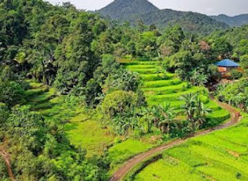 indonesia/east-java/attraction/bamboo-forest-keputih-surabaya