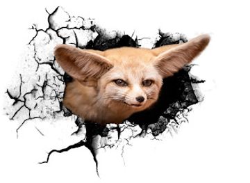 morocco/saharan-morocco/attraction/la-perle-aux-oiseaux