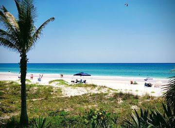 florida/sun-coast/attraction/seaside-seabird-sanctuary