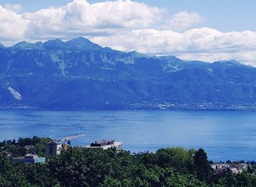 switzerland/vaud/attraction/sauvabelin-park