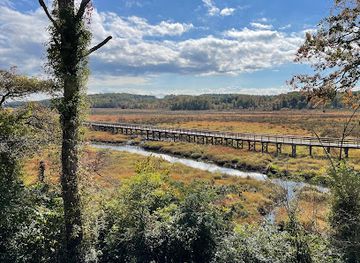 virginia/historic-triangle/attraction/potomac-heritage-national-scenic-trail-neabsco-creek-boardwalk