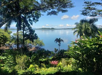 panama/western-panama/attraction/green-acres-chocolate-farm