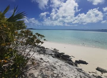 the-bahamas/exuma/attraction/sand-dollar-beach