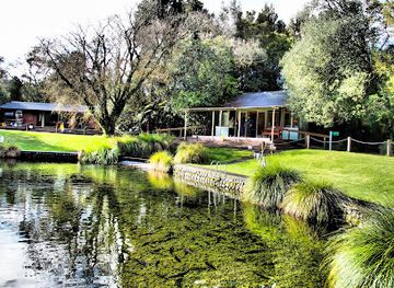 new-zealand/tongariro-national-park/attraction/tongariro-national-trout-centre