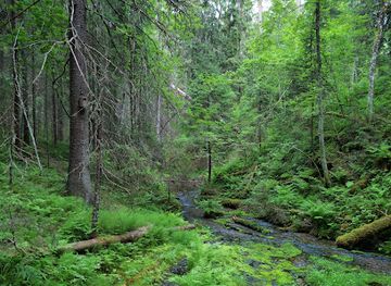 sweden/halsingland/attraction/gladbacken