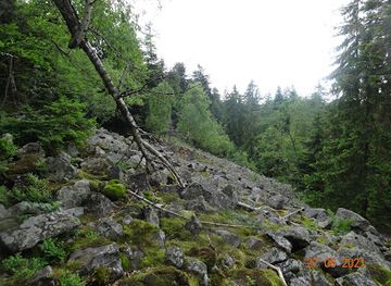 poland/holy-cross-mountains/attraction/skala-agaty