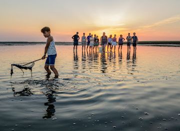 netherlands/wadden-islands/attraction/startlocatie-wadexcursie-waddenvereniging-terschelling