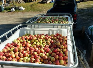 vermont/montpelier/attraction/north-branch-vineyards