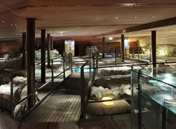 france/rhone-alpes/attraction/musee-de-l-ancien-eveche