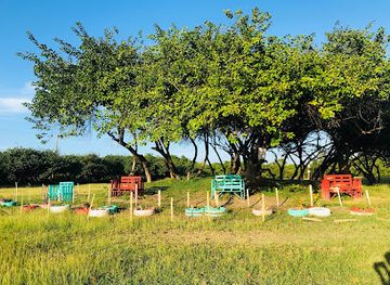 saint-lucia/vieux-fort/attraction/friendship-recreation-park