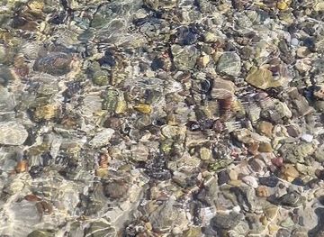 kuwait/bubiyan-island/attraction/sea-side-walk
