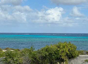turks-and-caicos-islands/east-caicos/attraction/grand-turk-old-conch-farms