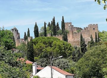 portugal/tomar/attraction/museu-dos-fosforos-aquiles-da-mota-lima