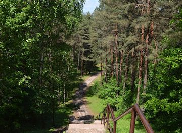 lithuania/anyksciai-treetop-walking-path/attraction/monument-beacon-of-happiness