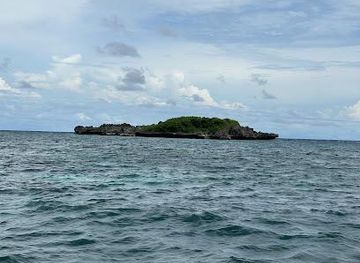 philippines/boracay/attraction/crocodile-island