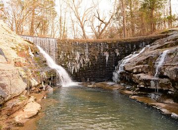 illinois/illinois-ozarks/attraction/dixon-springs-state-park