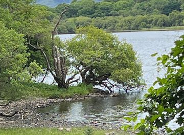 ireland/the-kerry-way/attraction/killarney-horse-and-carriage-tours