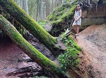 latvia/semigallia/attraction/zartapu-waterfall