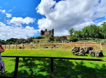united-kingdom/staffordshire/attraction/dudley-zoo-and-castle
