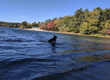 massachusetts/plymouth-county/attraction/morton-park