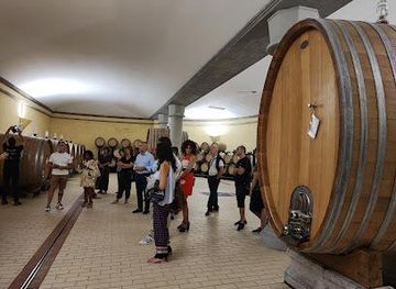 italy/pisa/attraction/wine-tasting-wine-tour-wine-shop-in-tuscany-badia-di-morrona