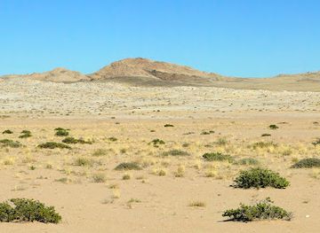namibia/erongo/attraction/welwitschia-plain