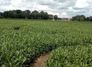 netherlands/overijssel/attraction/maisdoolhof-fleringen