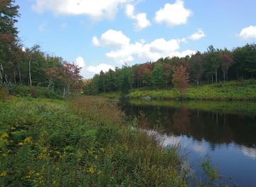 canada/eastern-townships/attraction/grotte-de-l-ours-zone-chapman