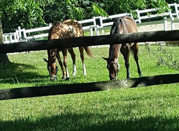 connecticut/norwalk-islands/attraction/getner-farms