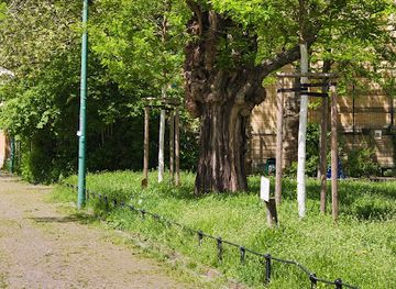 germany/leipzig/attraction/robinien-an-der-max-planck-strasse