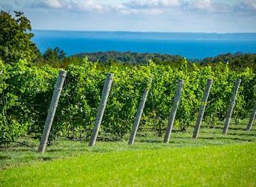 michigan/sleeping-bear-dunes-national-lakeshore/attraction/leelanau-peninsula-wine-trail
