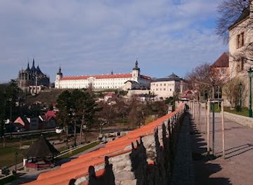 czechia/central-bohemia/attraction/kutna-hora-guide-service