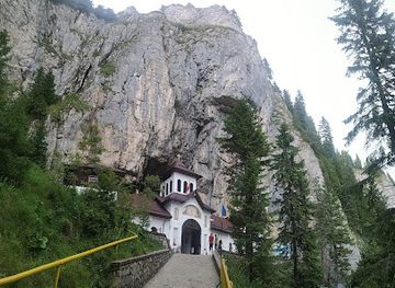 romania/mehedinti/attraction/padurea-colorata