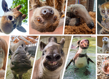 germany/ruhr/attraction/dortmund-zoo