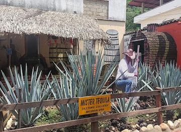 mexico/puerto-vallarta/attraction/mister-tequila