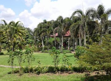 philippines/visayas/attraction/city-garden-and-living-tree-museum