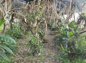 nicaragua/somoto-canyon/attraction/invernadero-de-orquideas