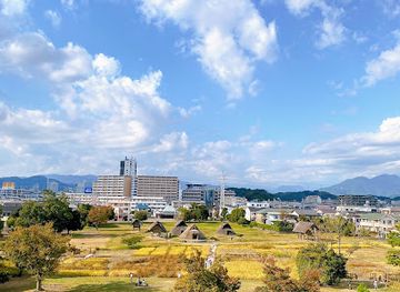 japan/suruga/attraction/toro-park
