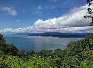 costa-rica/southern-zone/attraction/reserva-forestal-golfo-dulce