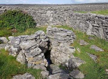 ireland/aran-islands/attraction/tobar-einne-sacred-well