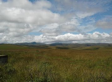 zambia/eastern-province/attraction/nyika-national-park