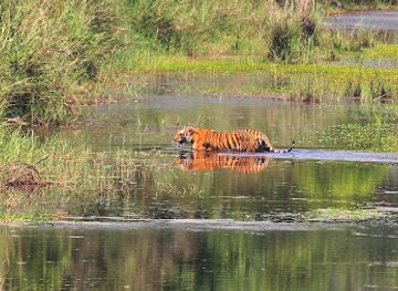 nepal/seti-zone/attraction/bardiya-national-park
