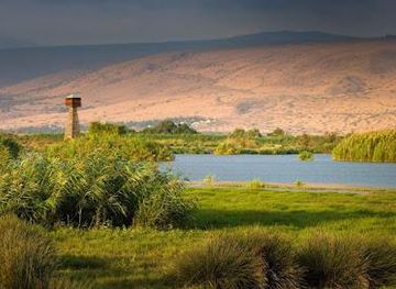 lebanon/tyre/attraction/hula-nature-reserve