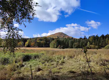 New Brasil Hillside Bog