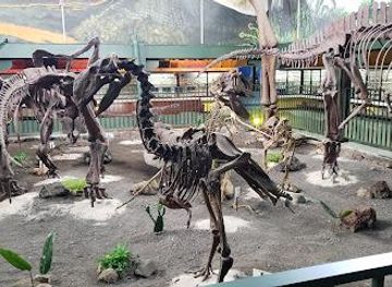 costa-rica/san-jose/attraction/natural-science-museum-la-salle