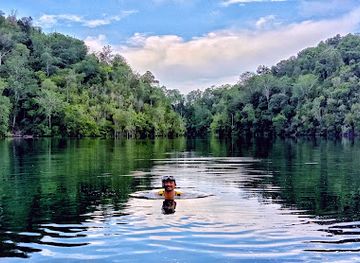 indonesia/togean-islands/attraction/jelly-fish-lake