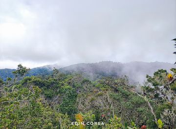 honduras/cusuco-national-park/attraction/bosque-enano-panacu