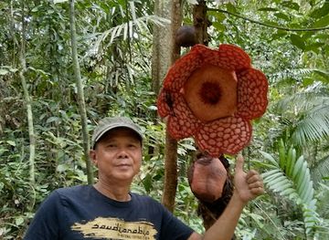 malaysia/tioman-island/attraction/ari-s-activity-centre