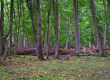 germany/altmark/attraction/colbitzer-lindenwald