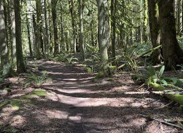 washington/bremerton/attraction/tiger-mountain-trail